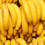 CAMEROUN CINQUIÈME PRODUCTEUR MONDIAL DE BANANE ET PREMIER DANS LES ACP